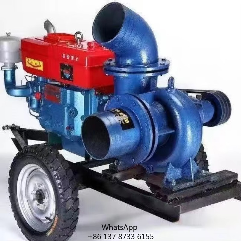 Customized Power Diesel Engine - огляд і ціна Diesel Water Pump