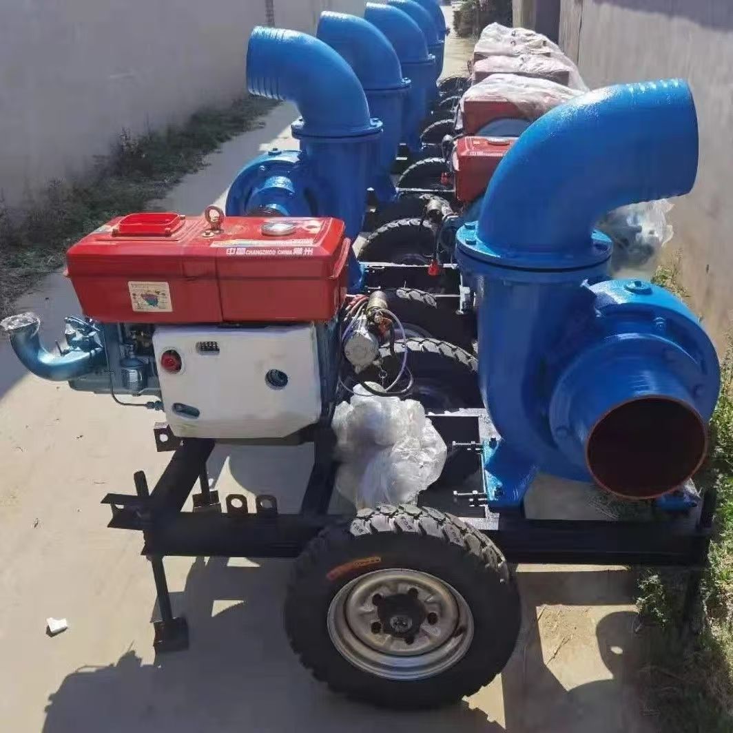 Customized Power Diesel Engine - огляд і ціна Diesel Water Pump